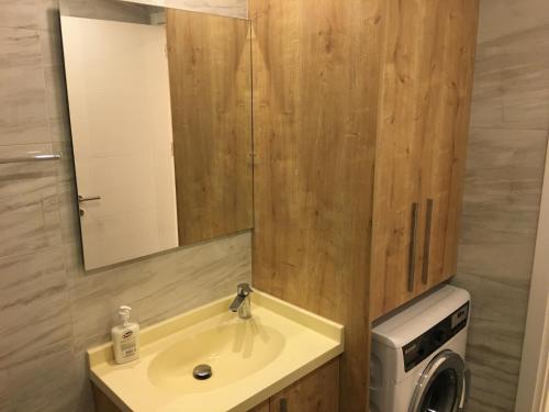 Lefkosa TurkにあるRoyal Residence Nicosiaの洗面台と洗濯機を備えたバスルーム