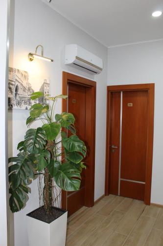 a plant in a room next to a door at Boutique Hotel 32 in Batumi