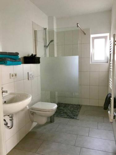a bathroom with a toilet and a sink and a shower at Spreewaldapartments-Kossatz in Lübben