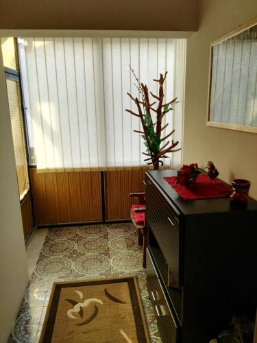 a living room with a large window and a rug at Apartmani Janjic in Banja Luka