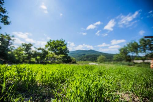 ゲストハウスの近くで見られる自然の景観