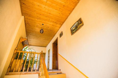 スバリャバにあるGuest House in Drachinoのギャラリーの写真