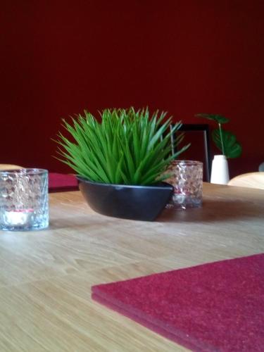 a green plant in a black bowl on a table at Squadron Base in Luqa