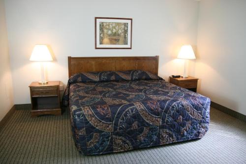 um quarto de hotel com uma cama e duas mesas de cabeceira em Affordable Suites Greenville em Greenville