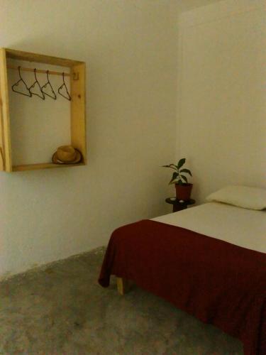 ein Schlafzimmer mit einem Bett, einem Spiegel und einer Pflanze in der Unterkunft Posada Cielito Lindo in Mazunte