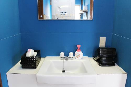 a bathroom with a white sink and a mirror at GUEST HOUSE SaKURa in Tokyo