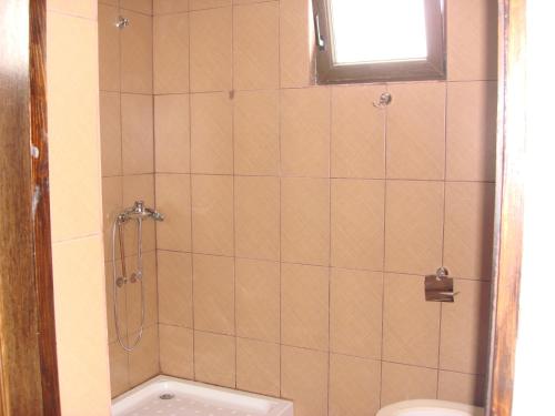 a bathroom with a shower and a toilet at Cabana Ada 1 in Vartop