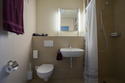 uma casa de banho com um WC, um lavatório e um chuveiro em wohnMOTEL - Hinterforst em Altstätten