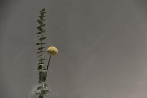 ICON Wipton photo 85