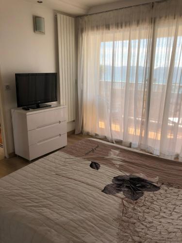 カンヌにあるBord de Mer Cannes Midiのベッドルーム(ベッド1台、テレビ、窓付)