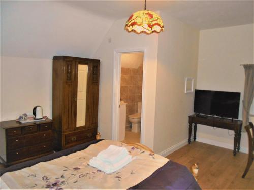 a bedroom with a bed and a dresser and a television at Riverside Bed & Breakfast in Ironbridge