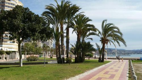 Afbeelding uit fotogalerij van Jardin del Mar Playa Muchavista - El Campello - Alicante in El Campello