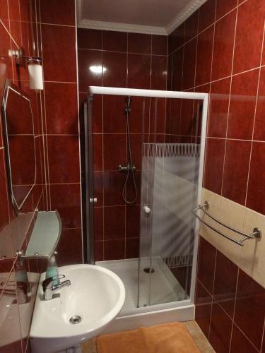 a bathroom with a shower and a sink at Budai Panzió in Székesfehérvár