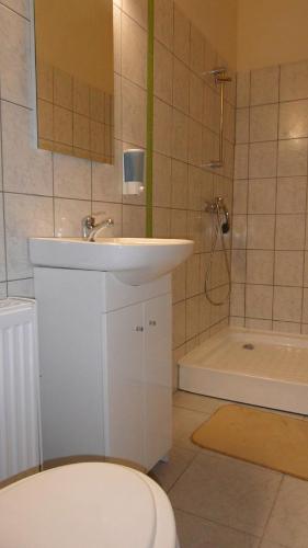 a bathroom with a sink and a toilet and a shower at Silver Horse Ranch in Békés