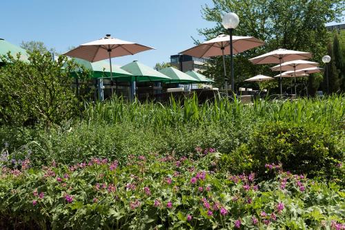 a garden with pink flowers and umbrellas at Mercure Hotel Mannheim am Friedensplatz in Mannheim