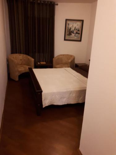 a bedroom with a bed and two chairs at Apartment Biba in Virpazar