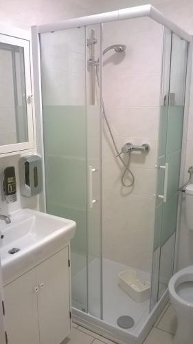 a bathroom with a shower with a sink and a toilet at Landhotel SONNENHOF MotorradKrauk in Ulrichsberg