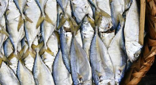a bunch of fish are lined up in a basket at Side Walk Hotel in Siem Reap