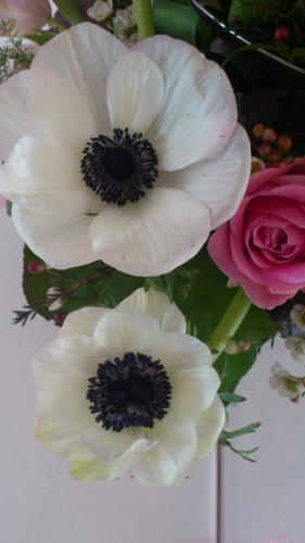 two white flowers are in a vase with roses at Hotel Højbysø in Højby