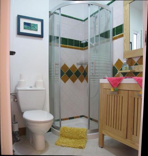 a bathroom with a shower with a toilet and a sink at B&B Casa Alfareria 59 in Seville
