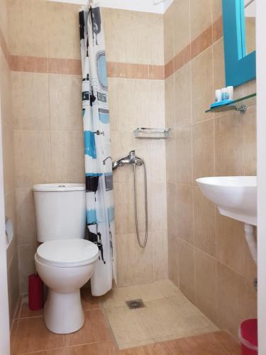 a bathroom with a toilet and a sink at Sokaki rooms in Skiathos