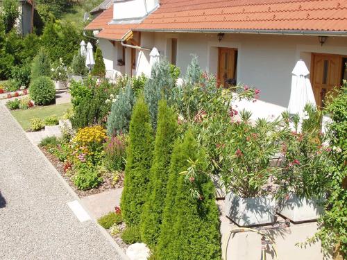 a garden in front of a house with plants at Franciska Portája in Igal