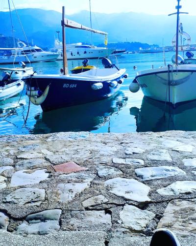 a group of boats docked in the water at Apartments Dragišić in Sveti Stefan