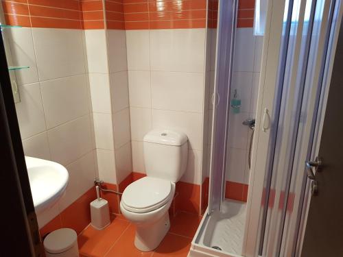 a small bathroom with a toilet and a shower at Christi Apartments Α&Β in Kokkíni Khánion