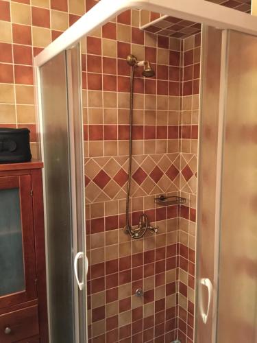 a shower in a bathroom with brown tiles at Apartment Gaia in Lokve