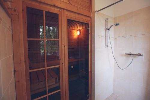 BožanovにあるChalupa Blijeのバスルーム(ガラスドア付きのシャワー付)