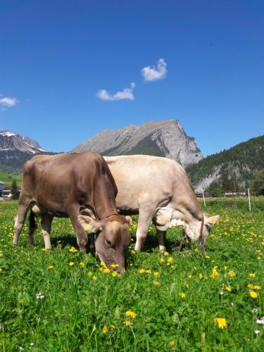 Animales en el agroturismo o alrededores
