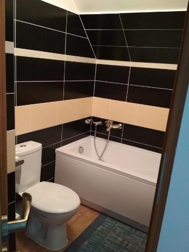 a bathroom with a toilet and a bath tub and a toilet at VITA Augustów in Augustów