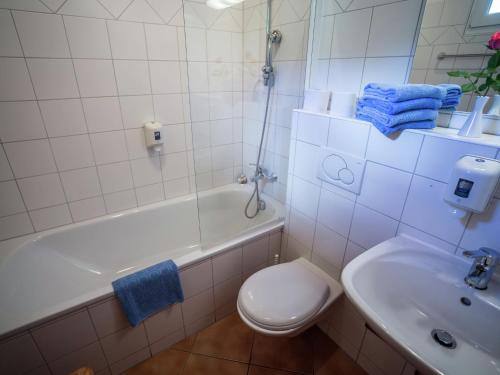 a bathroom with a toilet and a sink and a tub at Splendid Holiday Home in Kreischberg Murau near Ski Resort in Sankt Lorenzen ob Murau