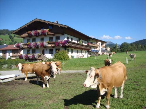 Sixenhof – Photos 3