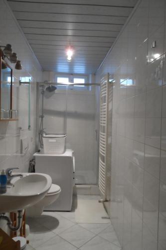 タンガーミュンデにあるHaus ElbTangerのバスルーム(洗面台、トイレ、シャワー付)