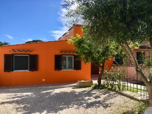 pomarańczowy dom z drzewem przed nim w obiekcie Casa Mare al Circeo w mieście San Felice Circeo