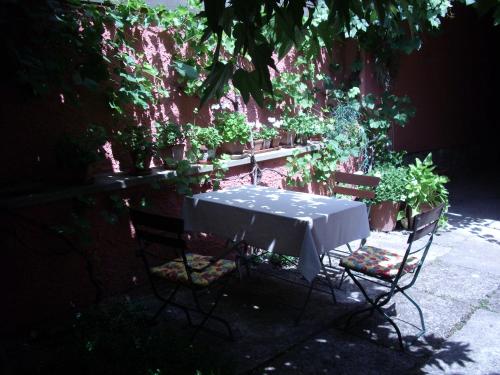 a table and two chairs with a table and plants at Gästehaus Stadtmitte in Merzig