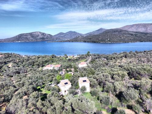 Gallery image of Gera's Olive Grove - Elaionas Lesvou in Perama