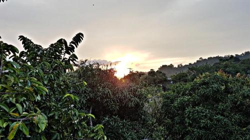 a sunset behind trees with the sun in the background at Akainoie in Minca
