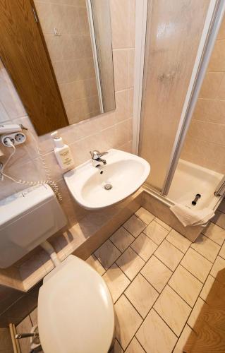 a bathroom with a toilet and a sink and a shower at Hotel Waldidyll in Baabe