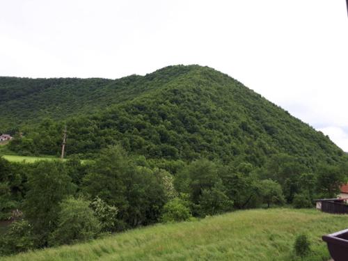Příroda nedaleko apartmánu