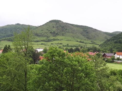 Příroda nedaleko apartmánu