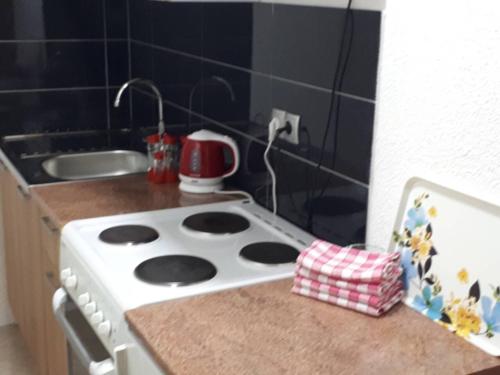 Kuchyň nebo kuchyňský kout v ubytování Apartmani Tajra