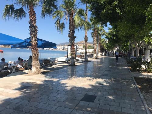 a sidewalk lined with palm trees next to the water at Merhaba Pansiyon in Bodrum City