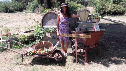 Κήπος έξω από το La Ferme Constantin