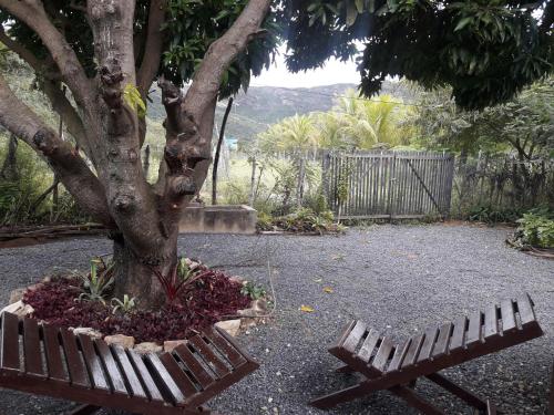 a wooden bench sitting next to a tree at Chalés Savi in Vale do Capao