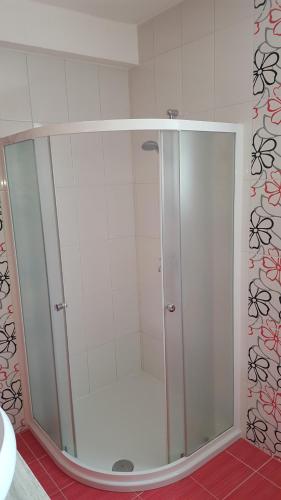 a shower with a glass door in a bathroom at Apartmani Marenda in Supetarska Draga