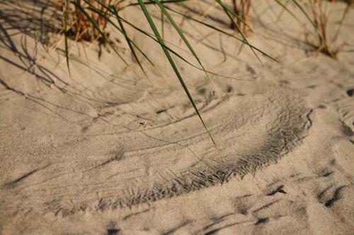 a patch of sand with some grass in it at Nida like home in Nida
