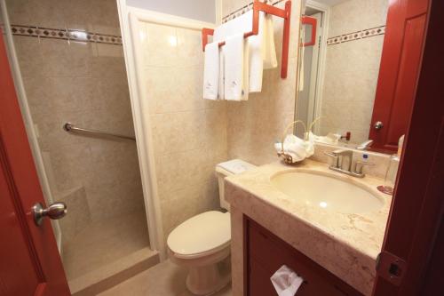 y baño con lavabo, aseo y ducha. en Hotel Santa Regina, en Guanajuato