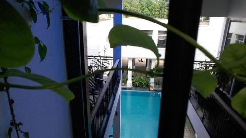 Πισίνα στο ή κοντά στο Hikka Boutique